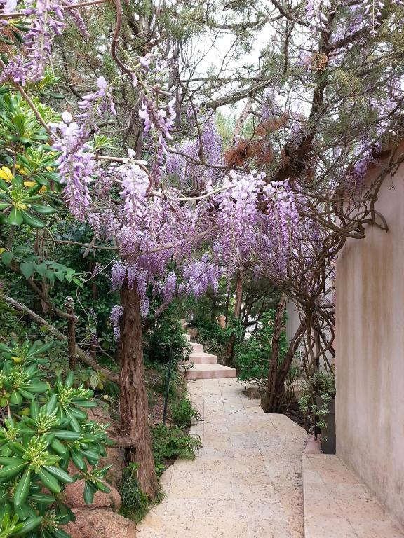 Private Hotel - Adult Only Porto-Vecchio  Rom bilde